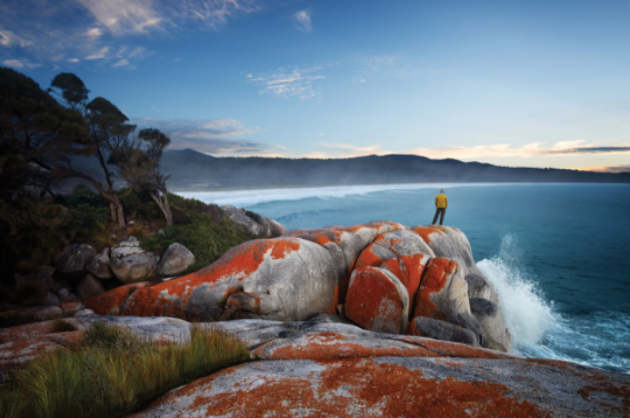 THE BAY OF FIRES